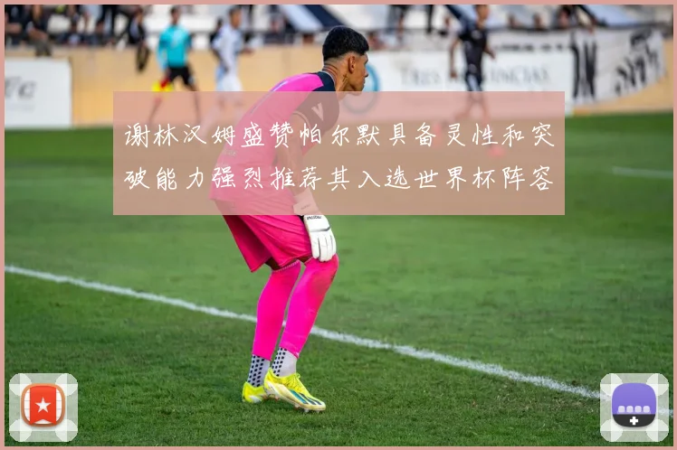 谢林汉姆盛赞帕尔默具备灵性和突破能力强烈推荐其入选世界杯阵容