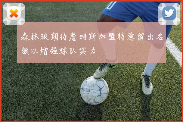 森林狼期待詹姆斯加盟特意留出名额以增强球队实力
